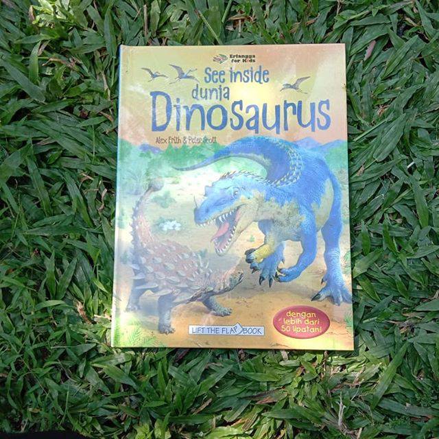 Usborne See Inside : Dinosaurus