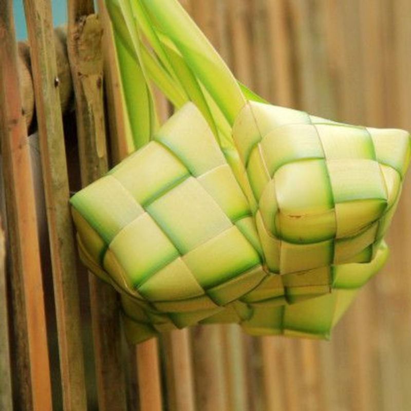 

kulit ketupat janur