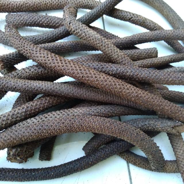 Kayu Lanang 1kg / Herbal Kayu Lanang Kering - Herbal Stamina Alami