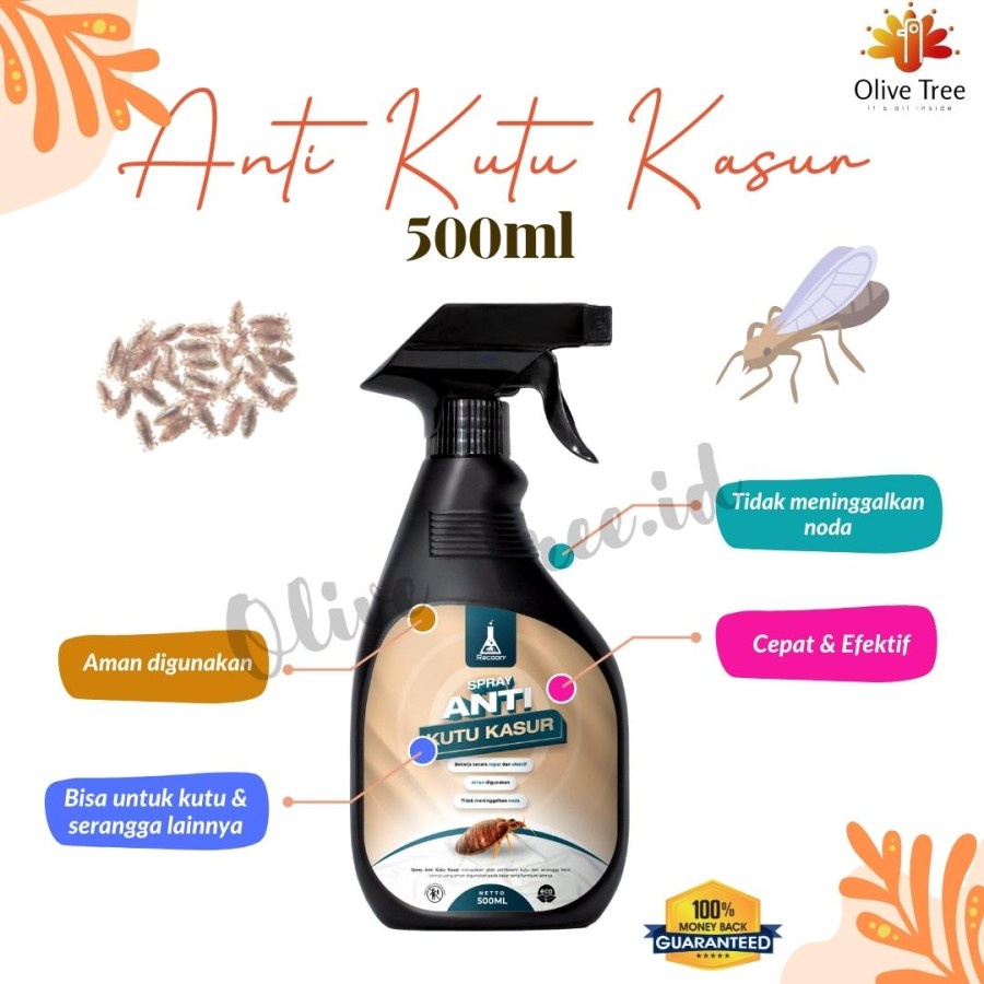 Racoon Anti Kutu &amp; Anti Serangga 500ml / Kutu Busuk / BunuhTungau / Kutu Kasur Usir Tungau Usir Kutu