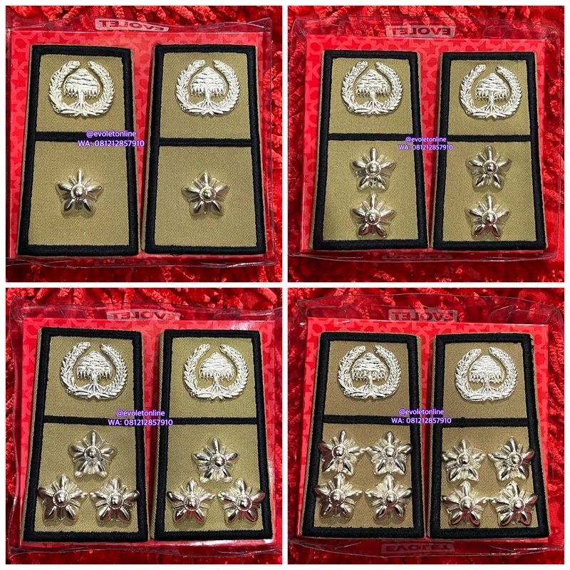 pangkat ASN PNS BENGKULU golongan 3A 3B 3C 3D evolet exclusive