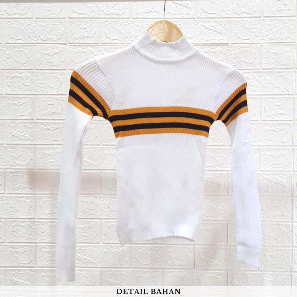 2634 stripe turtleneck knit