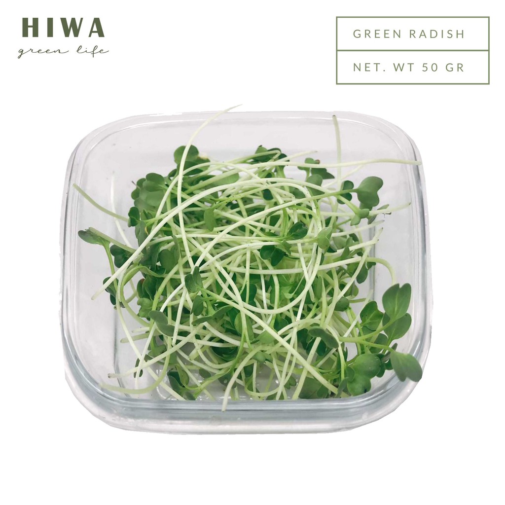 

HIWA Microgreen - Green Radish