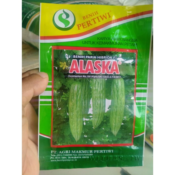 Bibit benih Paria HIBRIDA f1 ALASKA isi 10 gr