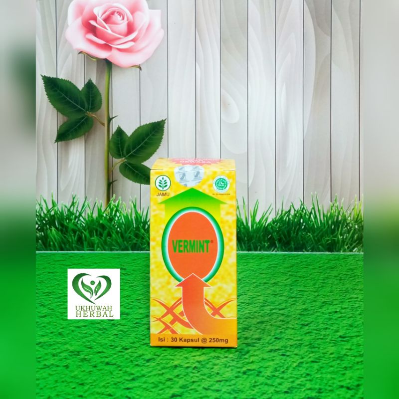 

Kpsl Vermint 30kpsl untuk anak dan dewasa