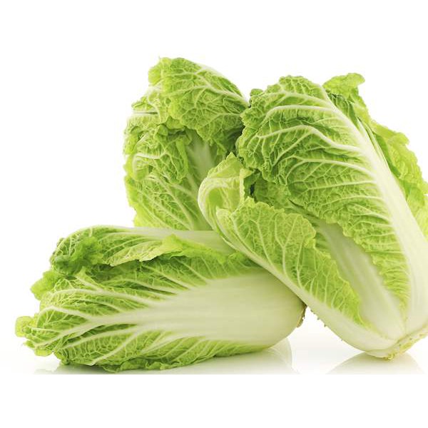 Benih Bibit Biji - Sawi Putih Slobor Napa Cabbage Sawi Kimchi Korea K-pop F1 Hibrida Seeds - Panen Dalam 55 HST