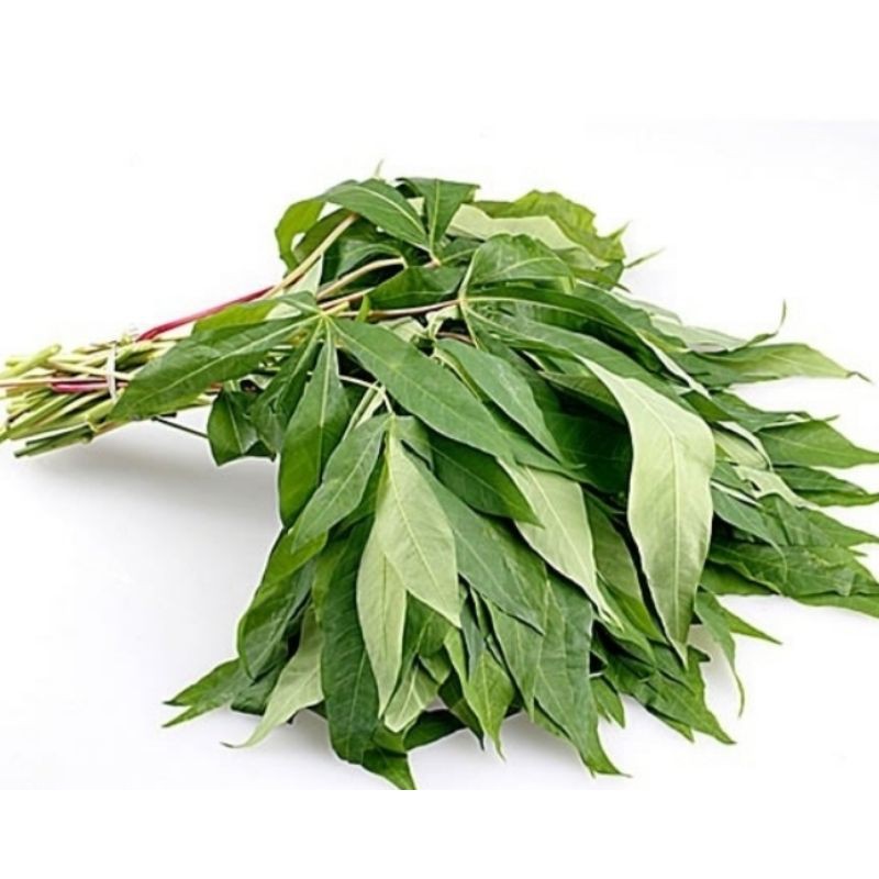 

Daun Singkong Fresh 1 ikat
