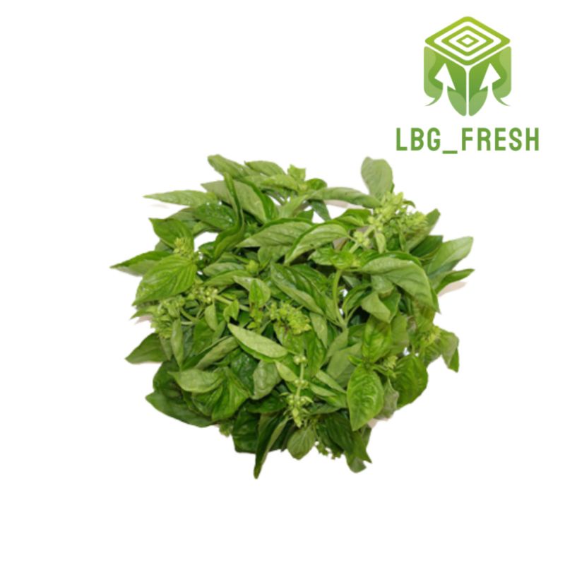 

Daun kemangi 200 gr