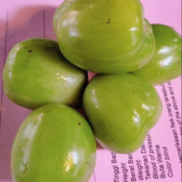 

TOMAT HIJAU