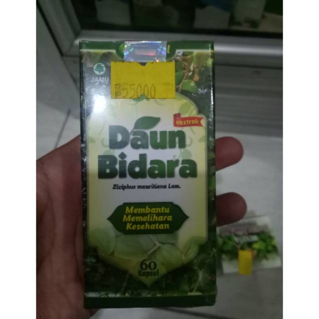 

Ekstrak Daun Bidara