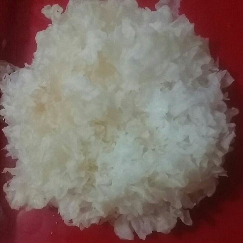 Jual Jamur Putih Snow White Fungus Jamur Putri Salju Jamur Es Jamur Sop