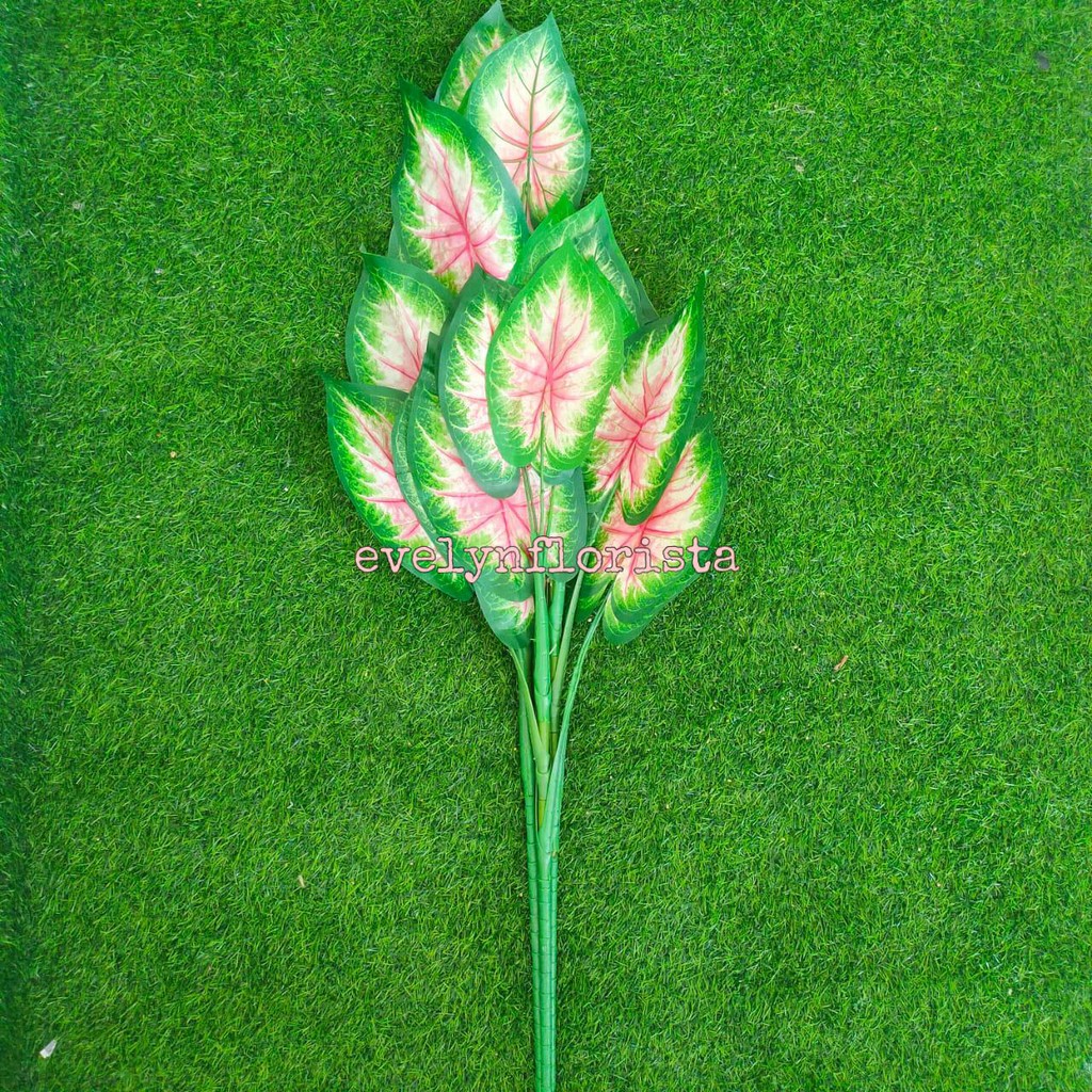 Daun Artificial Sri Rejeki Besar Legacy Pink Tanaman Hias Dekorasi Rumah Aesthetic