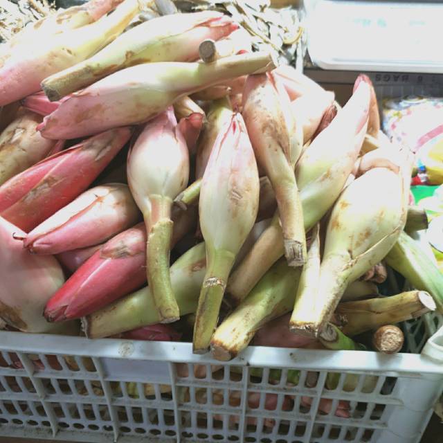

Kincung kecombrang bunga rias medan 250gr