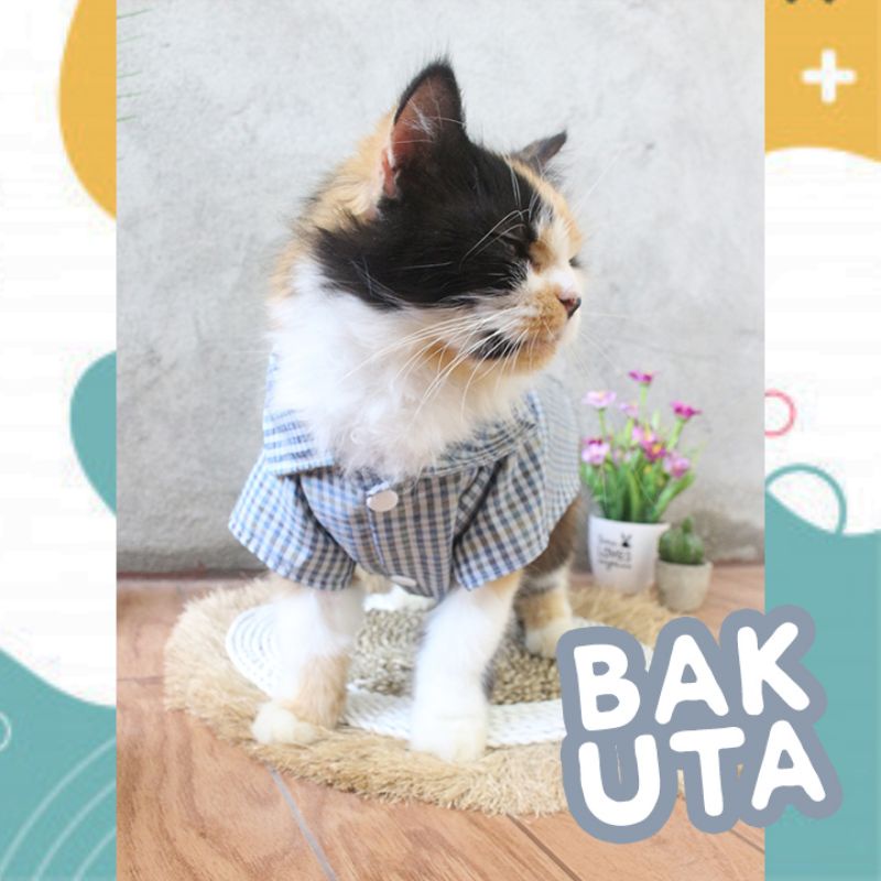 Kemeja kotak-kotak pak RT untuk kucing dan anjing / baju kucing murah size S-XL