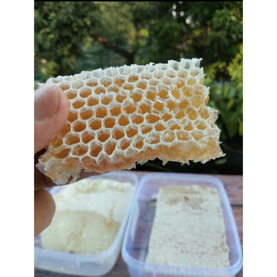 

Madu Murni + Sarang (150 gr) Herbal Harga Grosir Murah