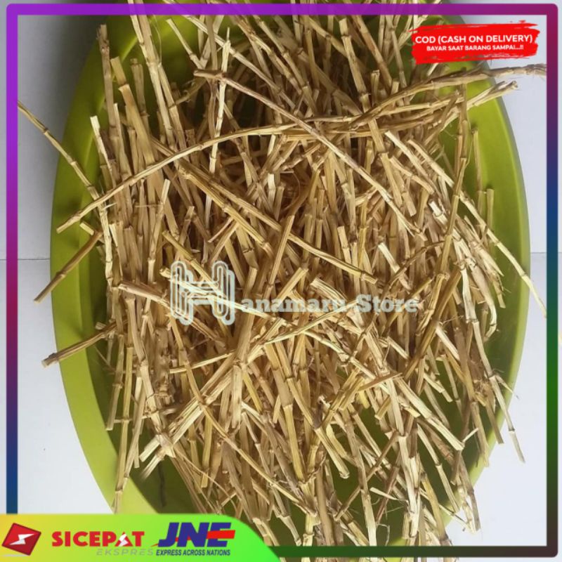 

Akar alang alang kering l Herbal akar alang alang ( 250gram )