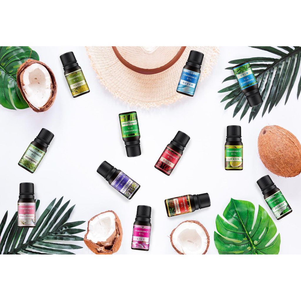 Nature Gift Fragrance Oil For Aromatherapy / Fragramce Oil Untuk Diffuser / Humidifier