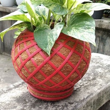 Pot Gantung murah bagus unik Aestetik Pot Aglonema Kokedama besar