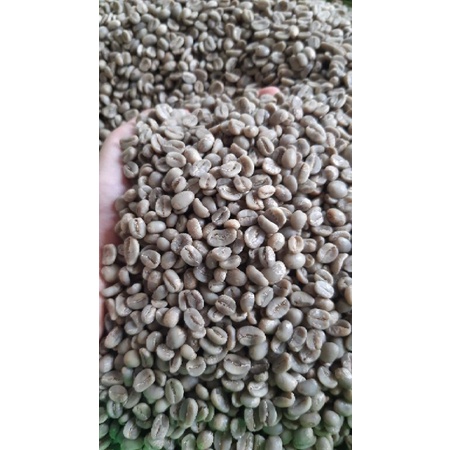 

Greenbeans Arabika fullwash argopuro/kopi argopuro jember/specialty/proses fullwash/murahberkualitas