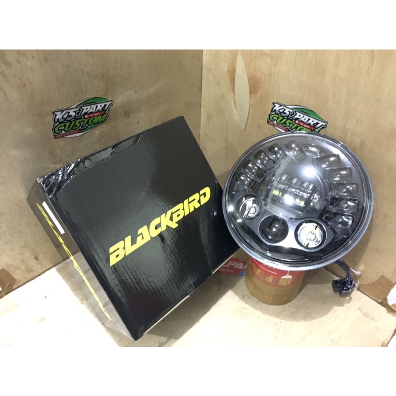 DAYMAKER BLACKBIRD 19 LED 7 INC