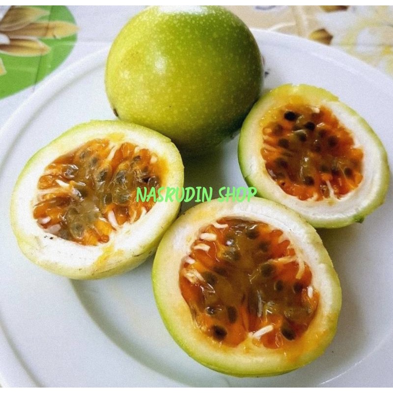 

[Fresh] BIBIT BIJI MARKISA KUNING 100 BIJI SIAP TANAM / BIBIT BIJI BUAH MARKISA KUNING