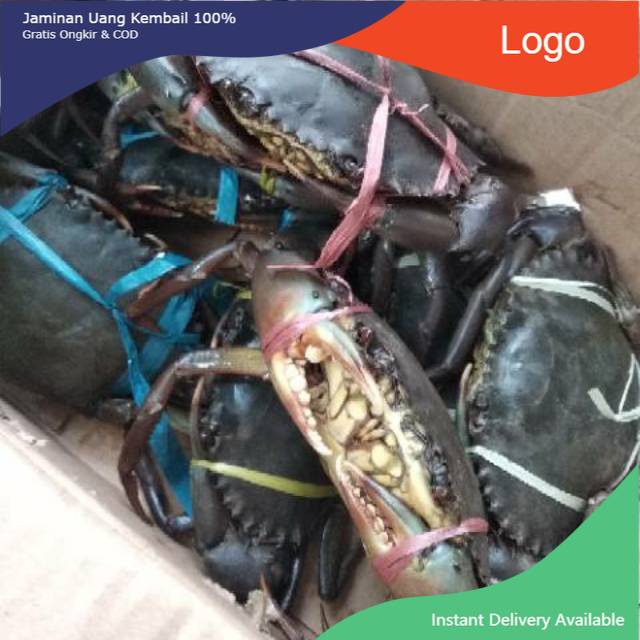 

Kepiting Fresh Hidup Size 300 Gram Up - 1 kilo isi 3 Ekor - Kepiting Bakau - Seafood
