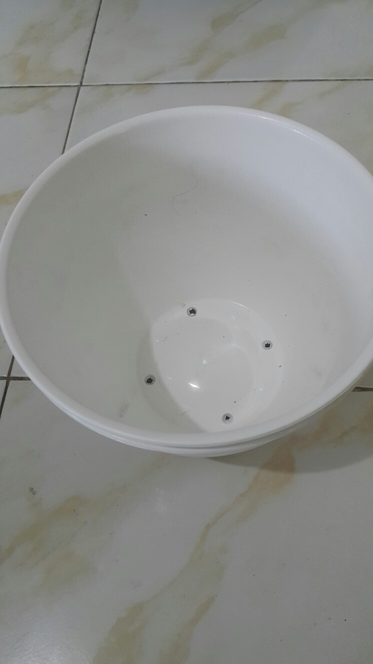 Pot Bunga Tanaman Motif Tawon Putih 24 Cm - Tawon Asli