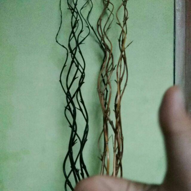 1 Btg Bambu Ulir Polos Natural 200cm (min Order 15 Btg Bisa Mix)