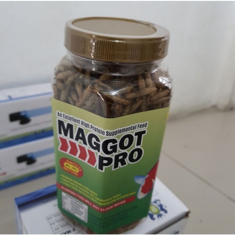 maggot pro kering pakan ikan predator