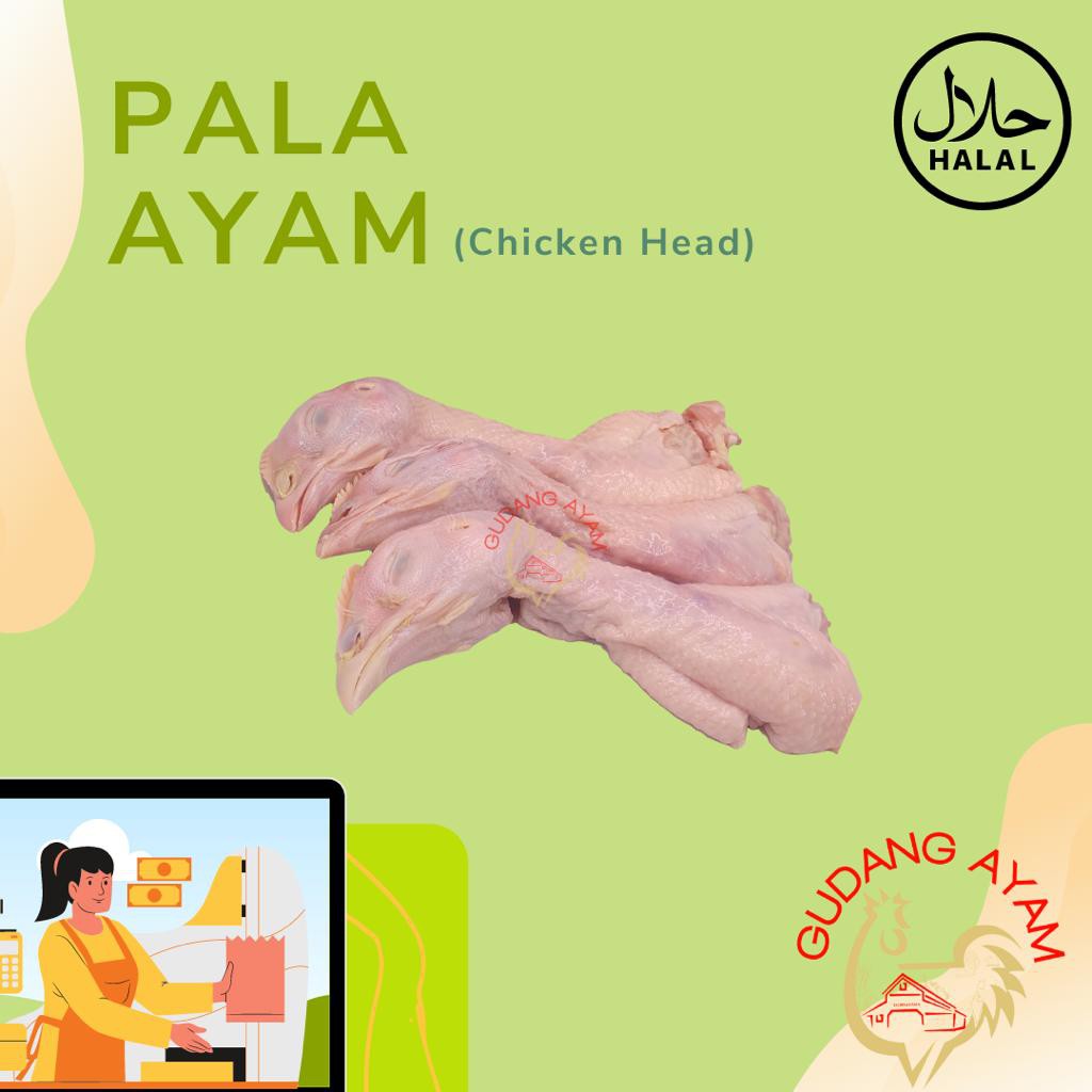 

Pala Ayam