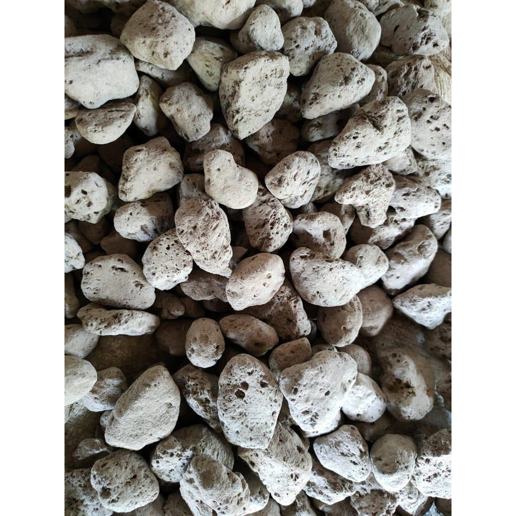 Batu Apung / Pumice Stone / Media Filter / Tanam / Jeans 1kg 1 kg