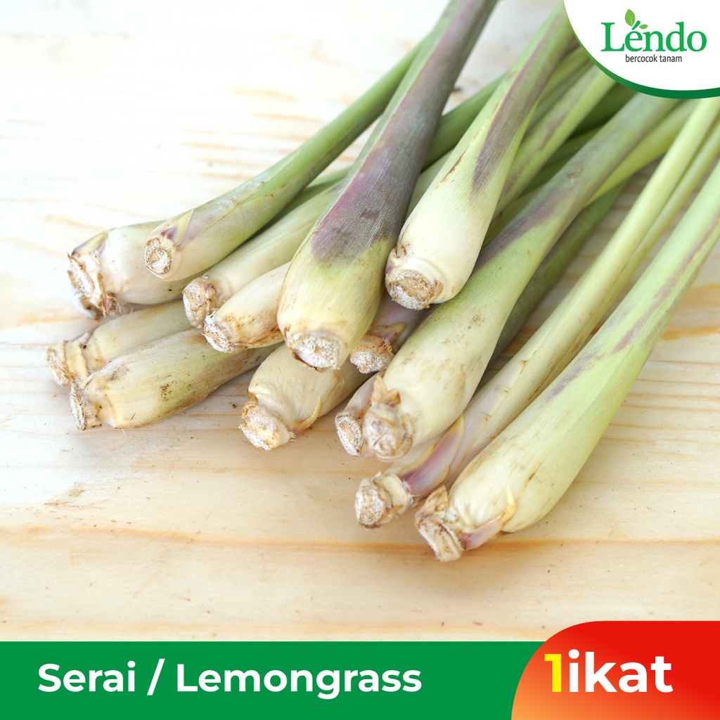 

Serai / Lemongrass