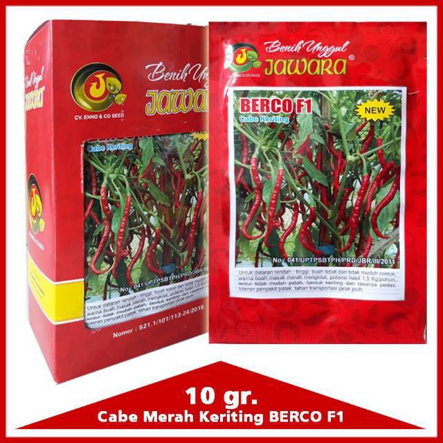 (***TERLARIS***) BENIH CABE / CABAI MERAH KERITING SUPER UNGGUL BERCO F1 10 GRAM - BIBIT | BIJI CABE