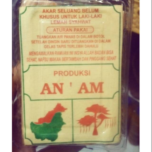 Akar seluang belum utk lemah syahwat