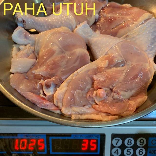 

Paha Utuh / Paha L