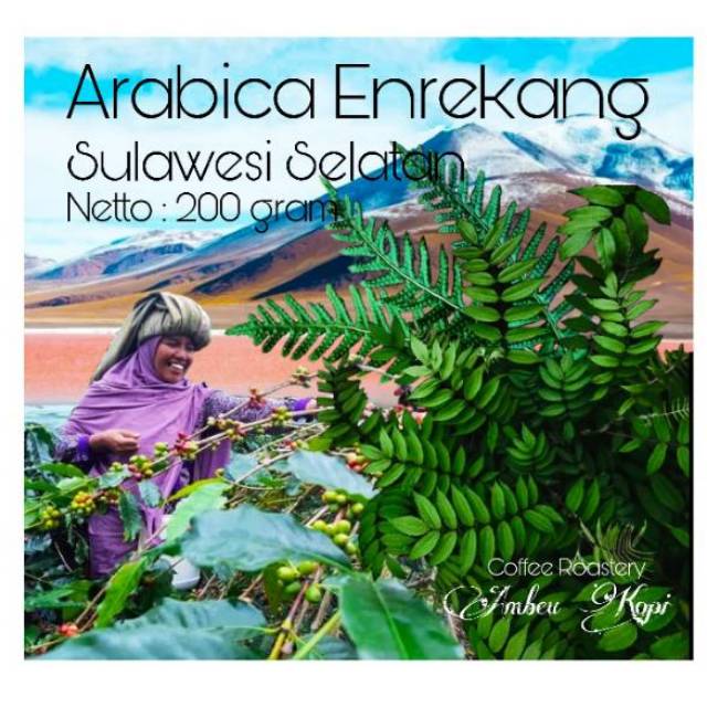 

Kopi Arabica Enrekang Sulawesi Selatan (hanya di produksi/sangrai bila ada pemesanan)