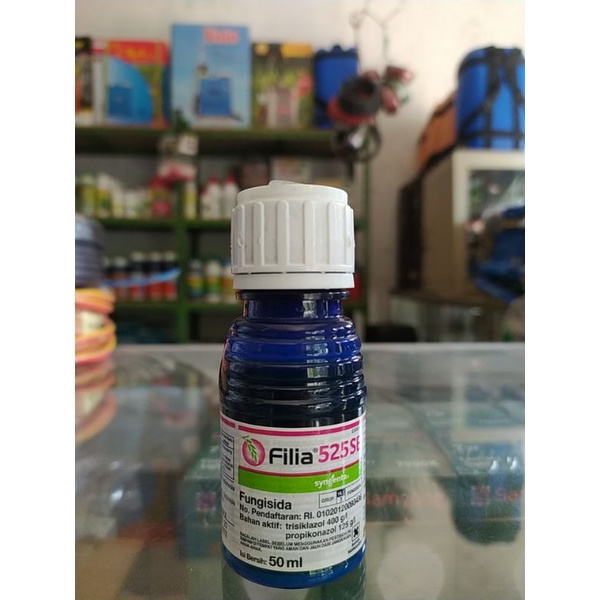 Filia 50 ml