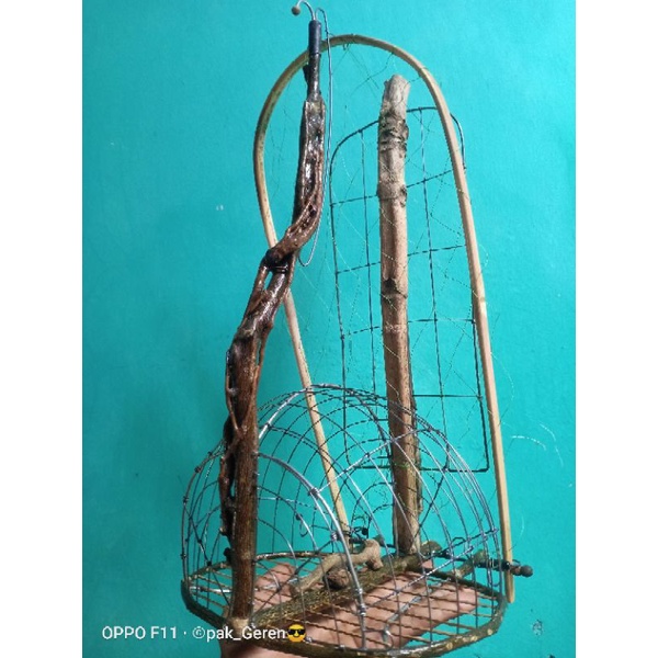 sangkar jebak/pikat burung perkutut merbuk