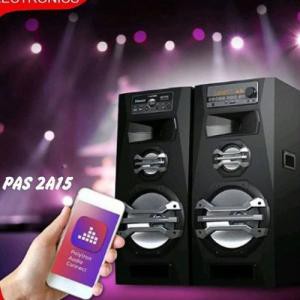 POLYTRON ACTIVE SPEAKER PAS 2A15