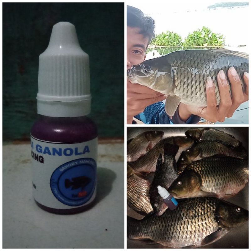 essen ikan nila dan mas . multifungsi geleng/pelet lumut cacing .ikan nila mas patin bawal dll