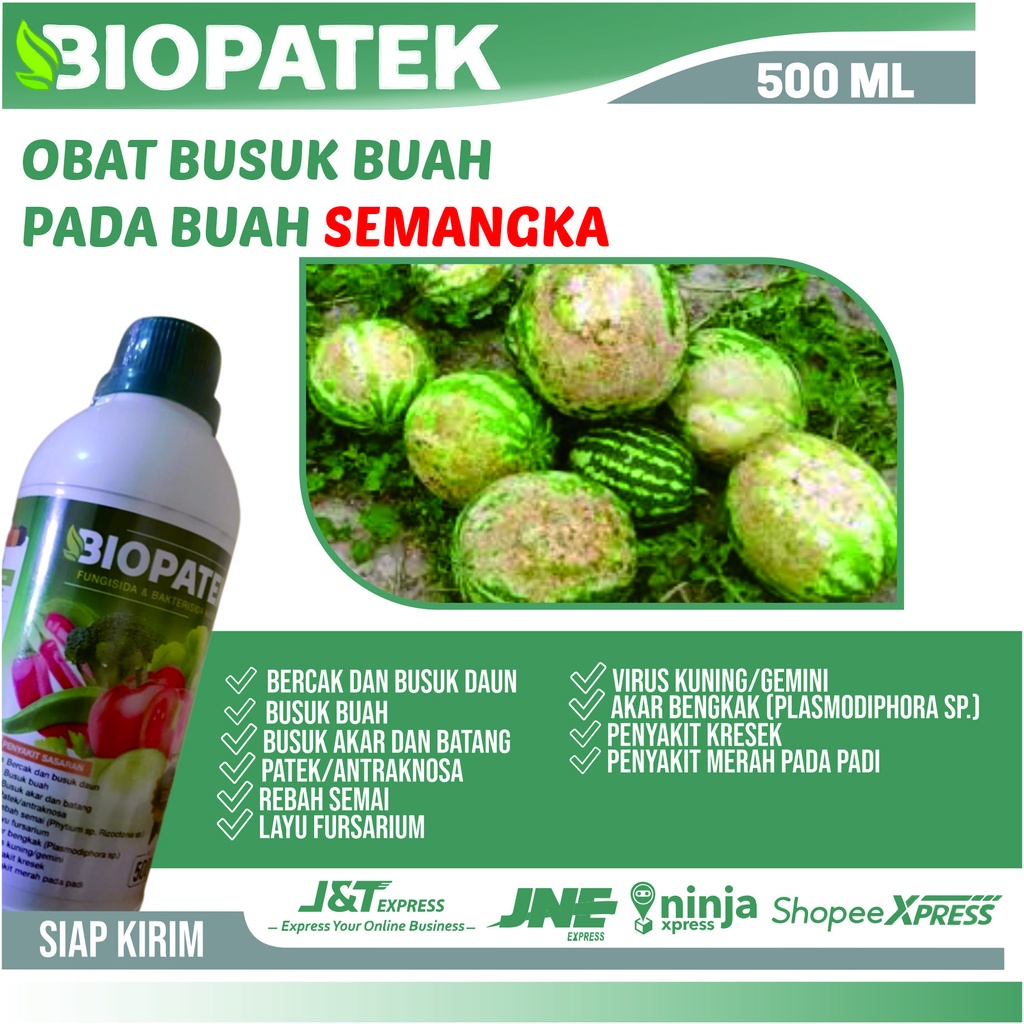 Obat Fungisida Busuk Buah Pada Semangka - Biopatek Fungisida & Bakterisida Hayati Obat Anti Patek Am