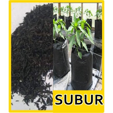 MEDIA TANAM ARANG SEKAM COCOK UNTUK CABAI TOMAT SAYUR DAN CAMPURAN MEDIA TANAM LAINYA