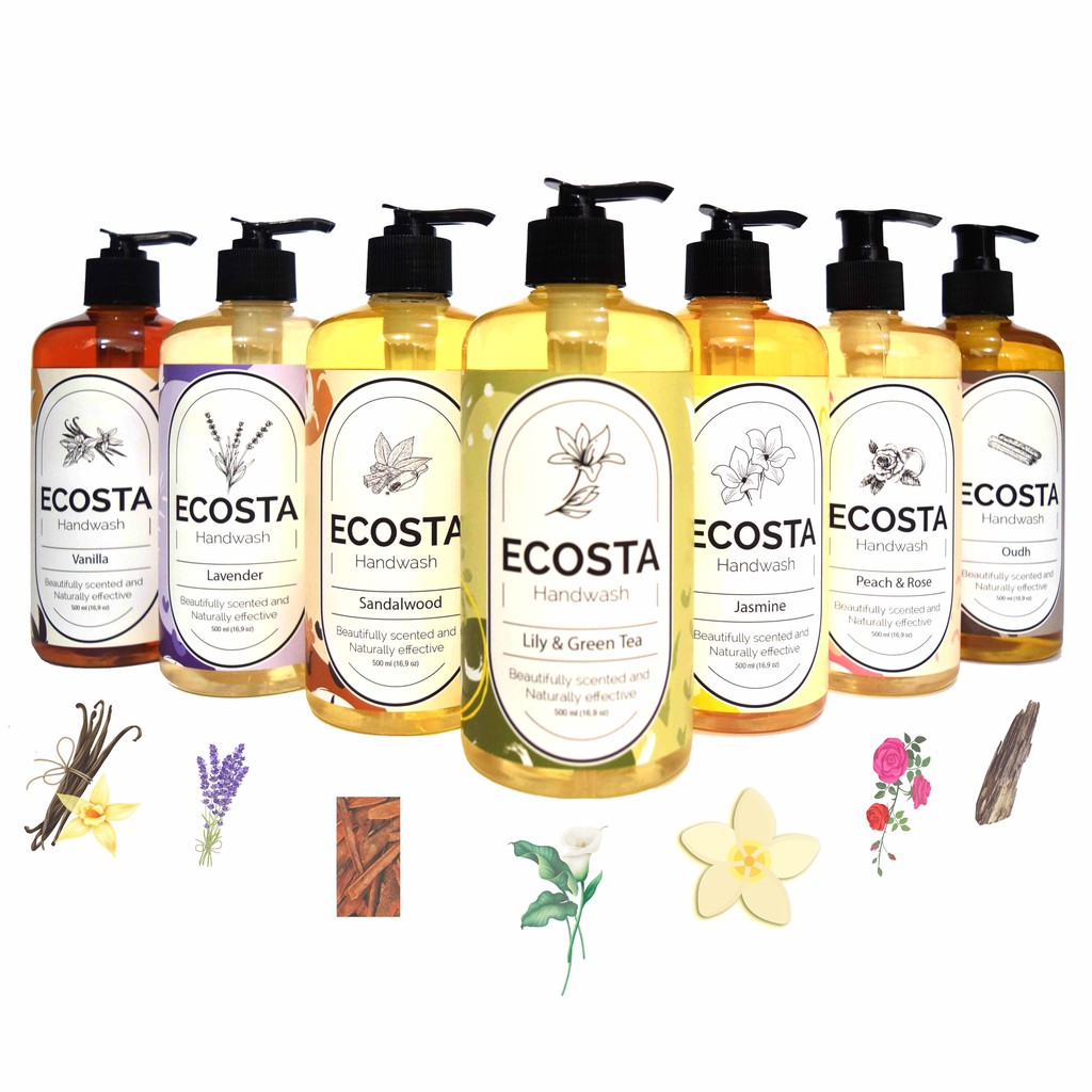 Hand Wash Ecosta 500 mL