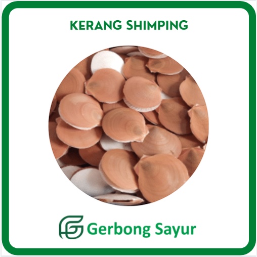 

Kerang Shimping / Simping Segar - 500g