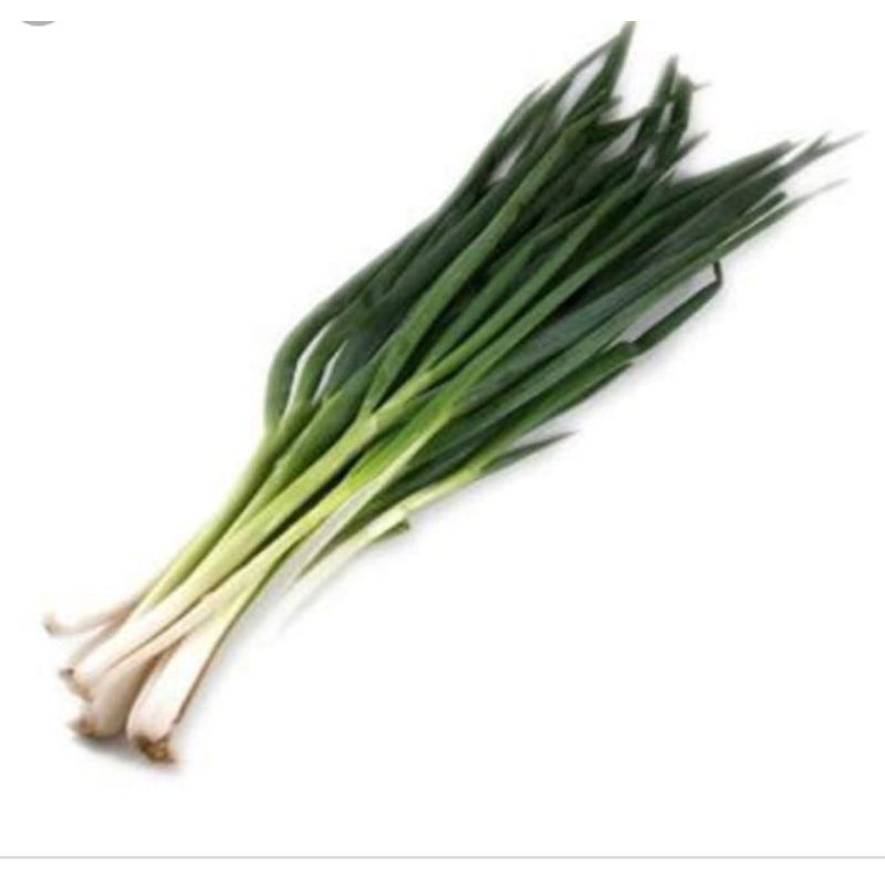 

DAUN BAWANG / IKAT
