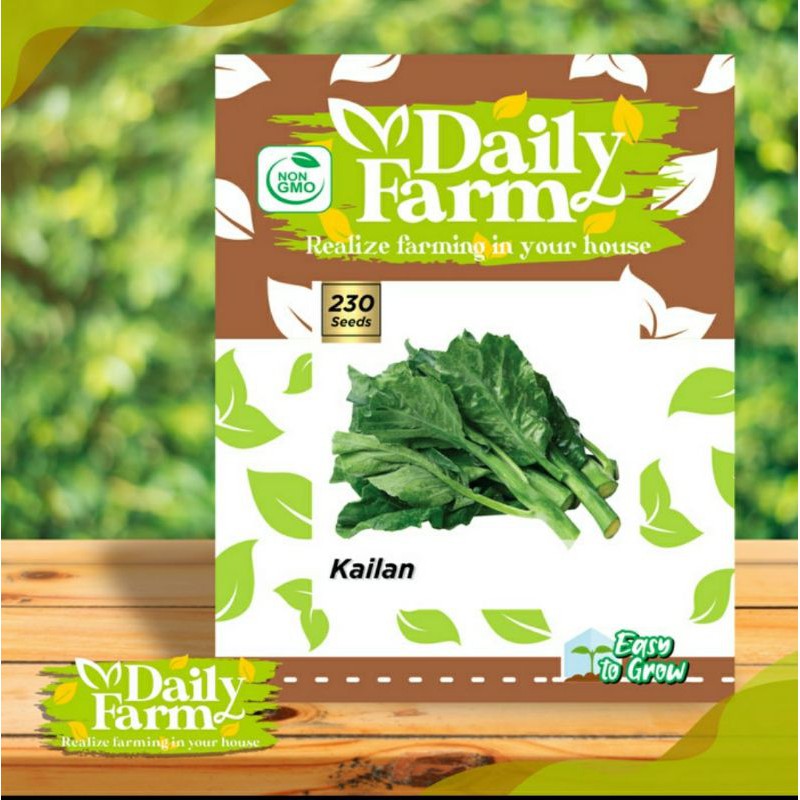 Benih Sayur Kailan  - Bibit Kailan - Daily Farm