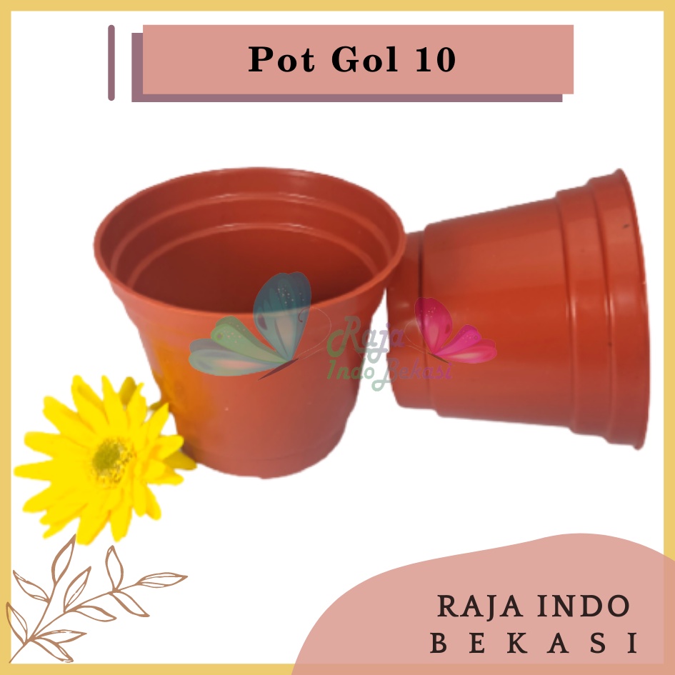 Pot 10 Coklat Merah Bata Murah - Pot Bulat Kecil Bisa Untuk Vas Bunga - Pot Tanaman 10CM Benih Kecil