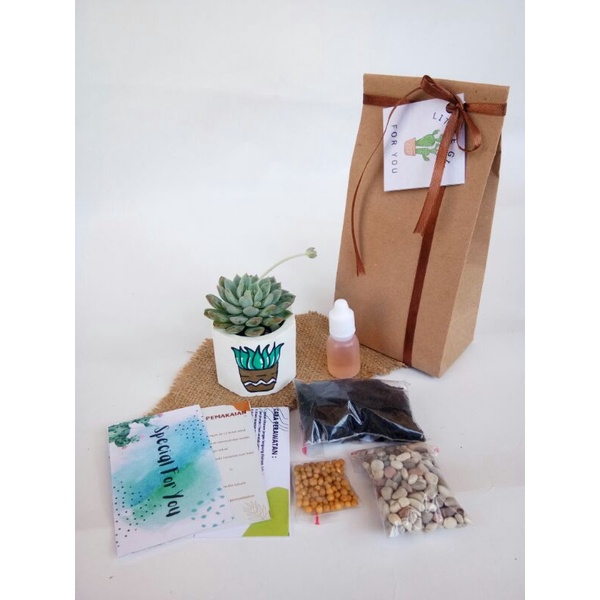PAKET GIFT / HAMPERS KAKTUS SUKULEN MURAH MERIAH | Souvenir wedding | souvenir nikah unik |