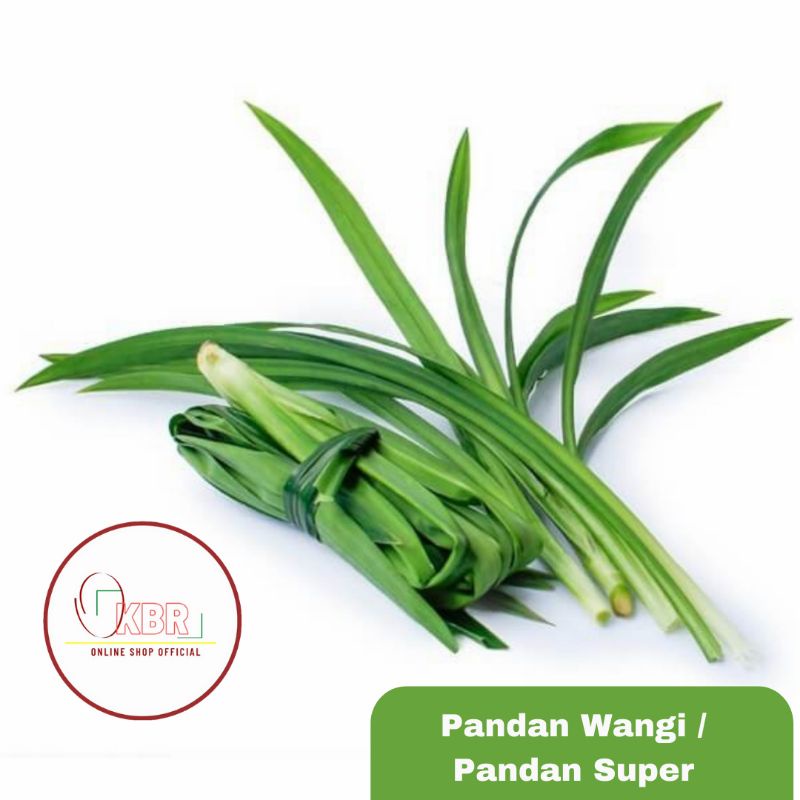 

Daun Pandan wangi 250gr / Daun Pandan / Daun Pandan Super