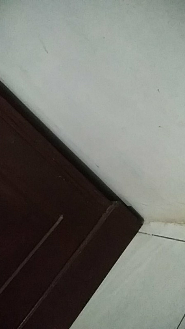 New Mailtank Sh190 Mesin Bor Cordless Charger Koper 2 Baterai 32v Full Set